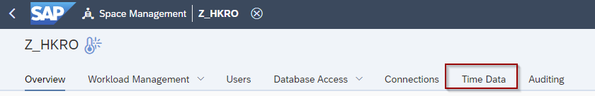 Screenshot SAP Z_HKRO, Button Time Data